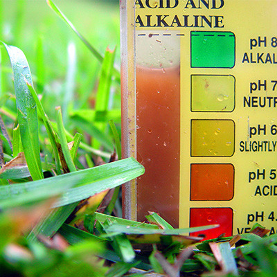 pH-Wert-Rasen-bestimmen