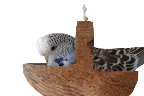 Kokosschaukel - eine Vogelschaukel als ganz besonderes Natur Vogelzubehör